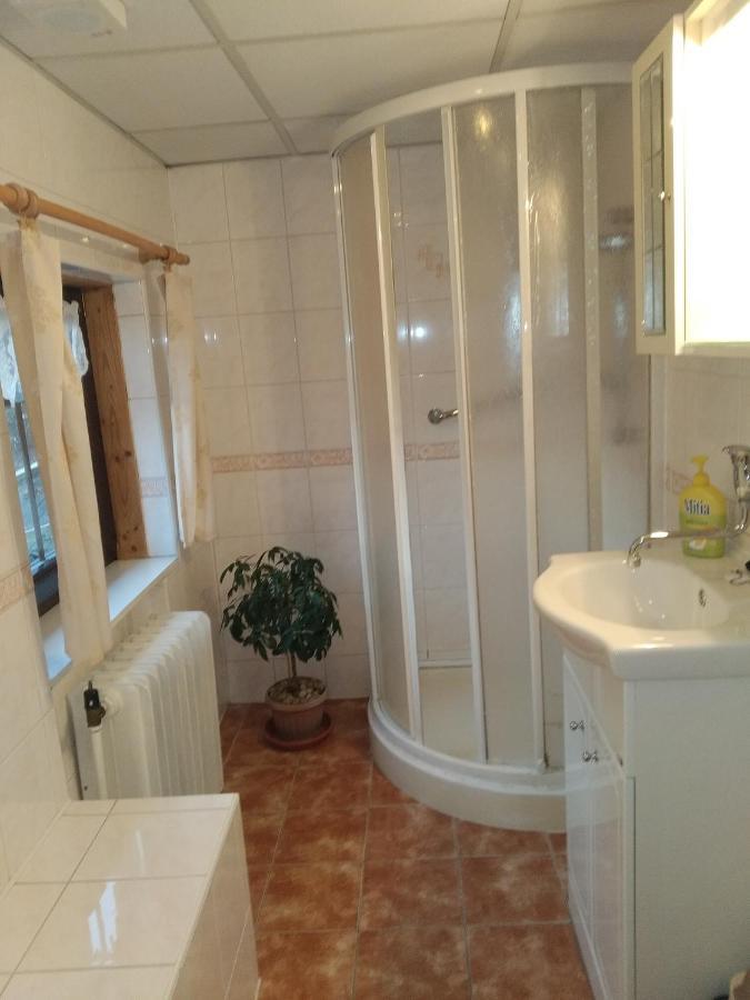 Ubytovani Riegel Svoboda nad Úpou Kamer foto